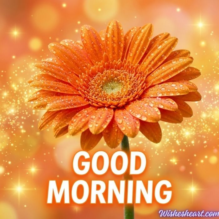 Good Morning Image