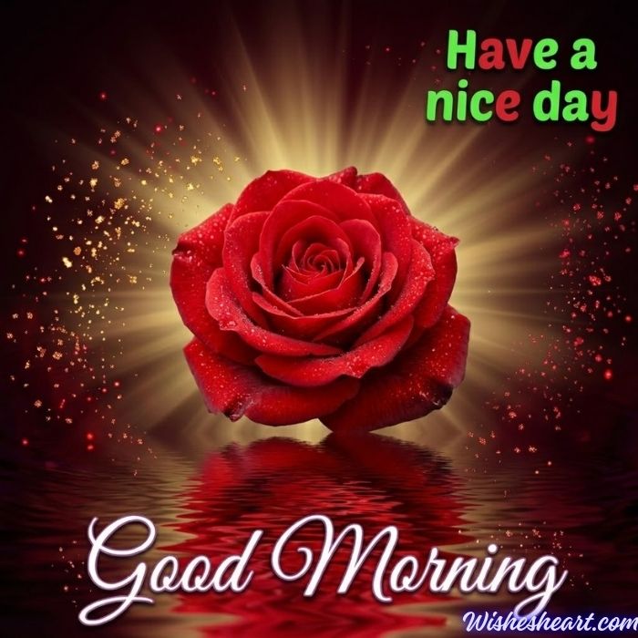Good Morning Image