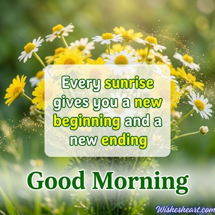 Good Morning Image