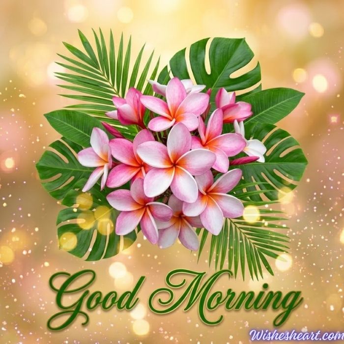 Good Morning Images