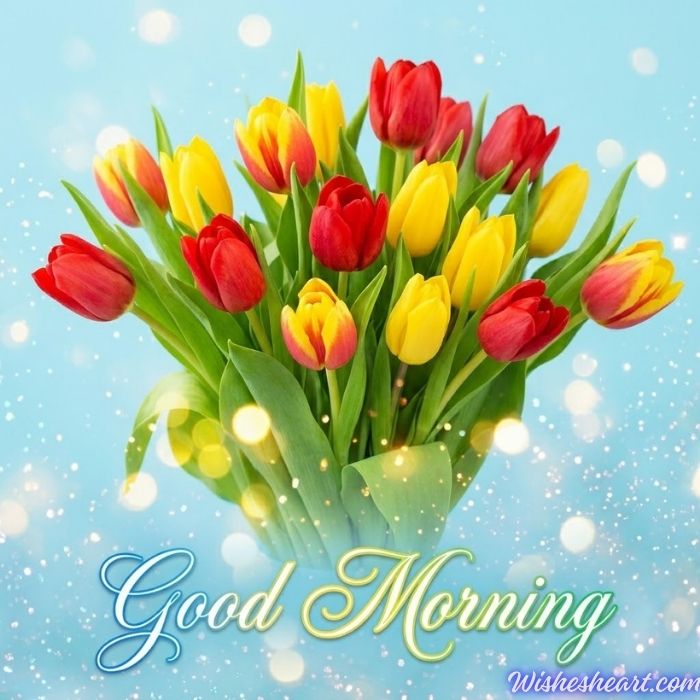 Good Morning Images