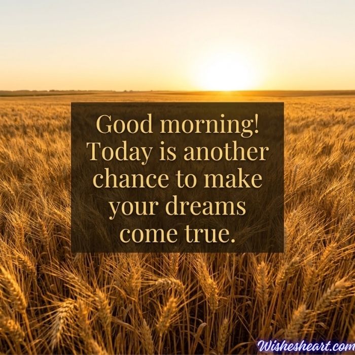 Happy Good Morning Images