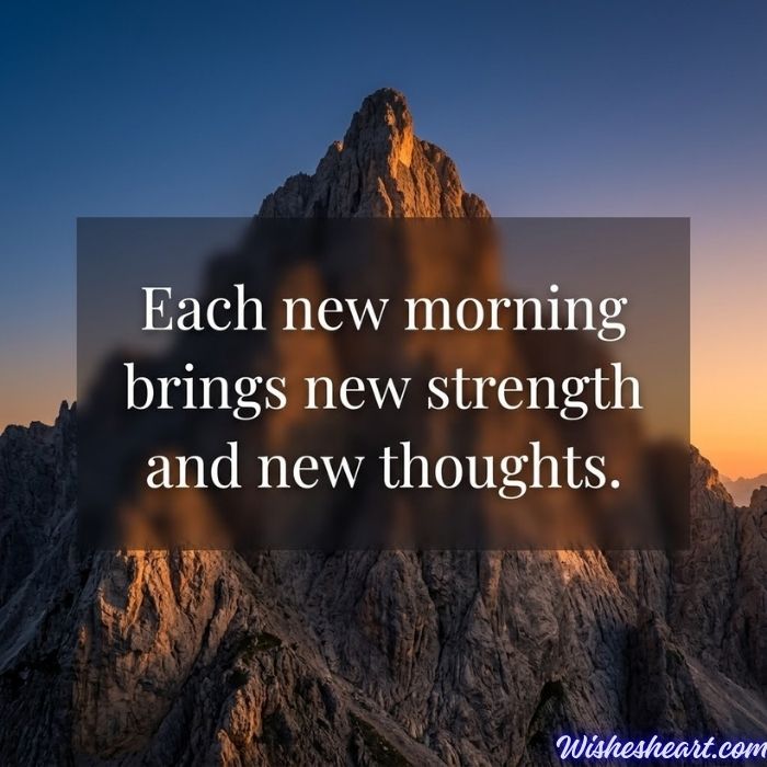Happy Good Morning Images